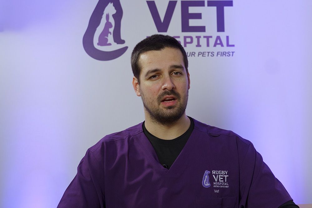 Dr Antonio Aleksikj, Vet, Days