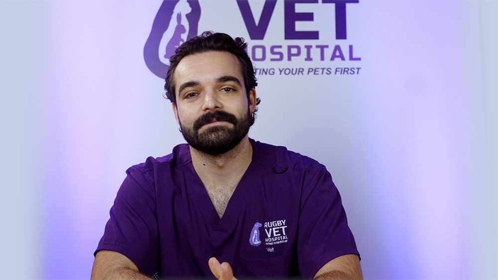 Juan Luis Abad Colom, Vet, Out of Hours