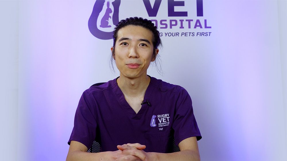 Sidney Chan, Vet, Nights
